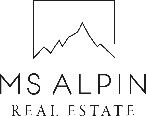 Logo MS Alpin